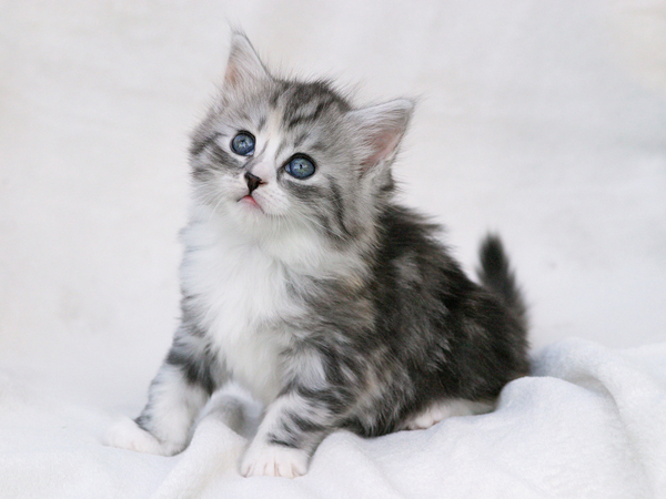 Amber_270512_06 (2).jpg